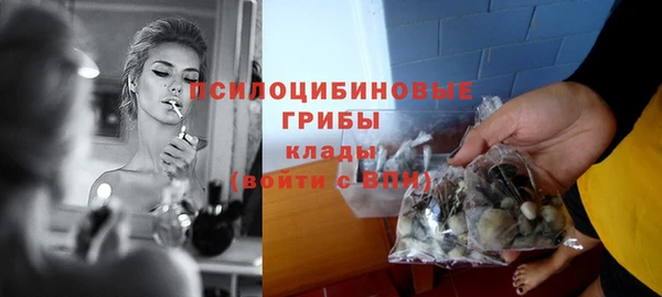 меф VHQ Дмитриев