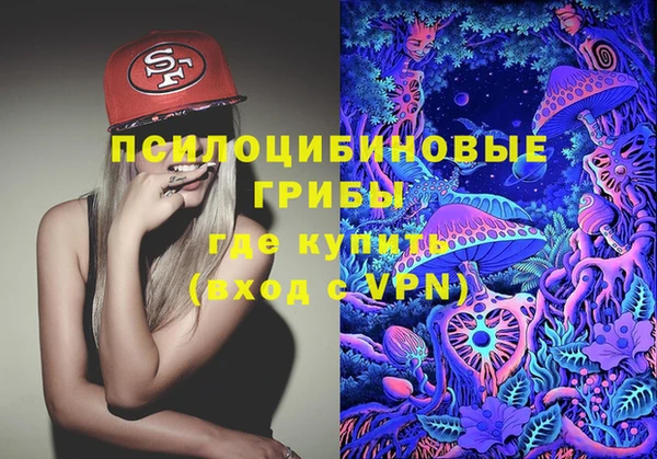дживик Дмитров