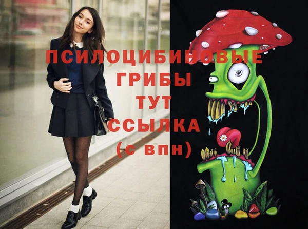 дживик Дмитров