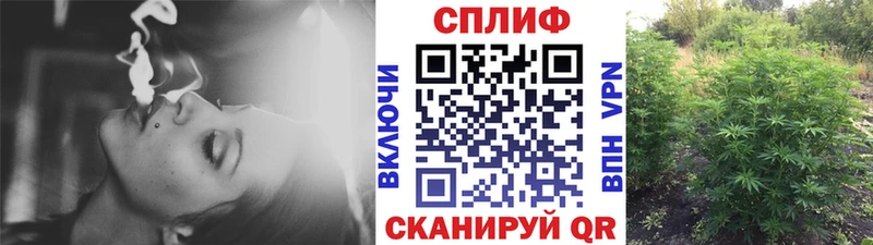 где можно купить   Теберда  Бошки марихуана ГИДРОПОН 